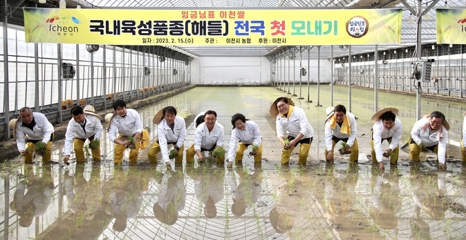 이천시는 15일 14시 30분경 이천시 호법면 안평3리 일원에서 전국 첫 모내기를 실시했다.(사진= 이천시 제공)