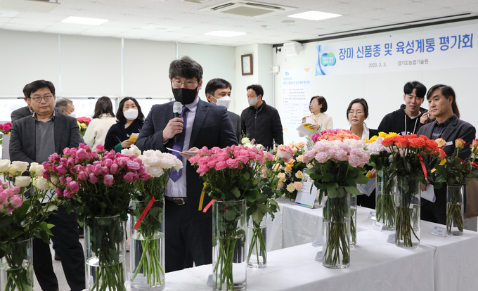 장미육성품평회. (사진=경기도농업기술원 제공)