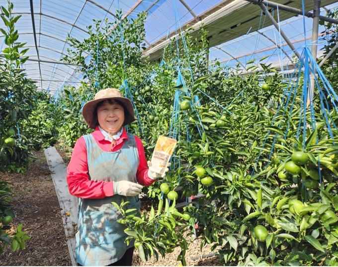 제주 천혜향 강소농 문계희씨. (사진=세븐일레븐 제공)