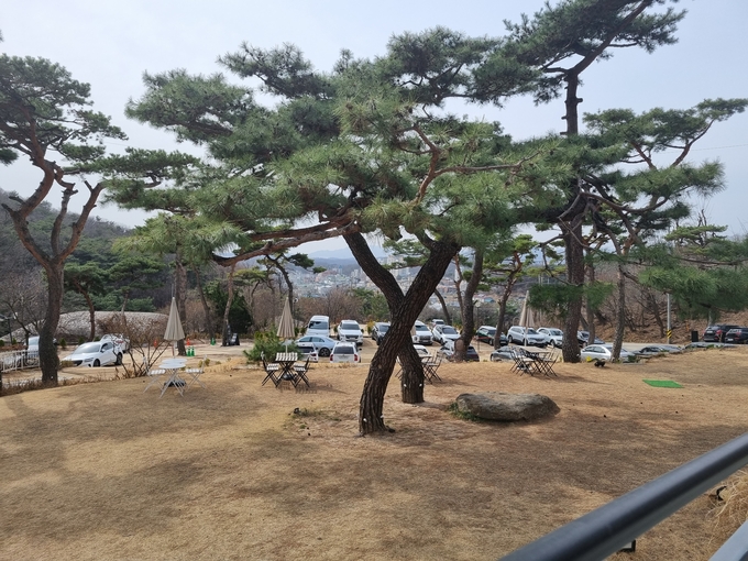 8대 주차면적 허가를 받은 후 곳곳의 임야를 훼손해 주차장으로 조성해 놓았다.(사진=이화우 기자) 