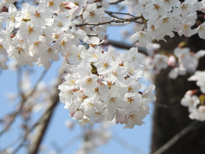 (사진=경기도 제공)