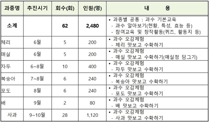 체험 프로그램. (도표=수원시 제공)