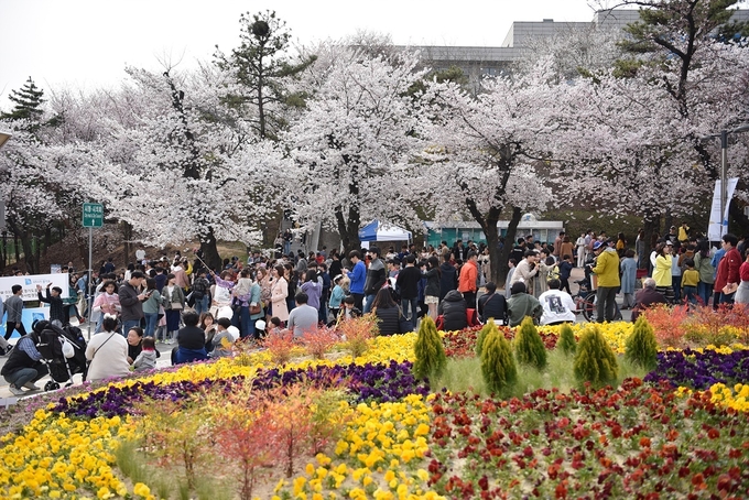 2019년 경기도청 봄꽃축제 (사진=경기도 제공)