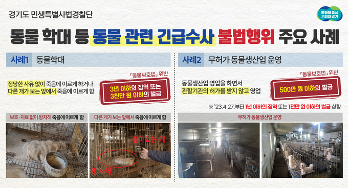 경기도 민생특별사법경찰단은 12일 고양과 포천, 광주에서 영업 중인 개 사육농장 3곳에 대해 동물보호법‧폐기물관리법 위반 등의 혐의로 입건했다고 밝혔다. (사진=경기도 민생특별사법경찰단 제공)