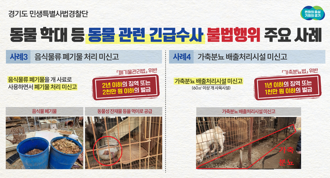 경기도 민생특별사법경찰단은 12일 고양과 포천, 광주에서 영업 중인 개 사육농장 3곳에 대해 동물보호법‧폐기물관리법 위반 등의 혐의로 입건했다고 밝혔다. (사진=경기도 민생특별사법경찰단 제공)