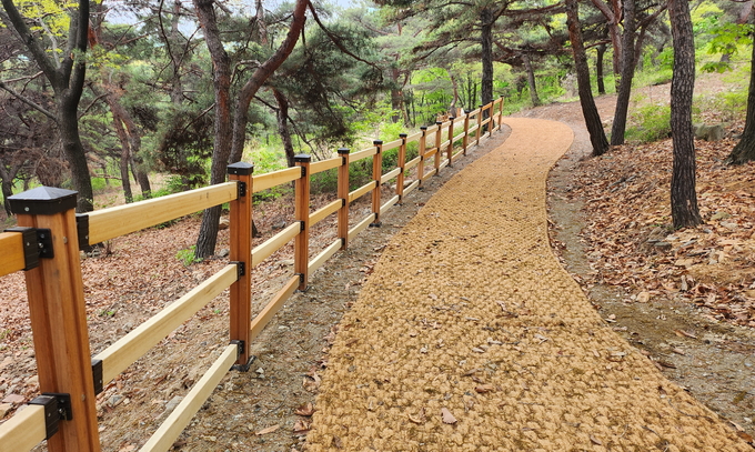 계양근린공원에 조성된 숲
