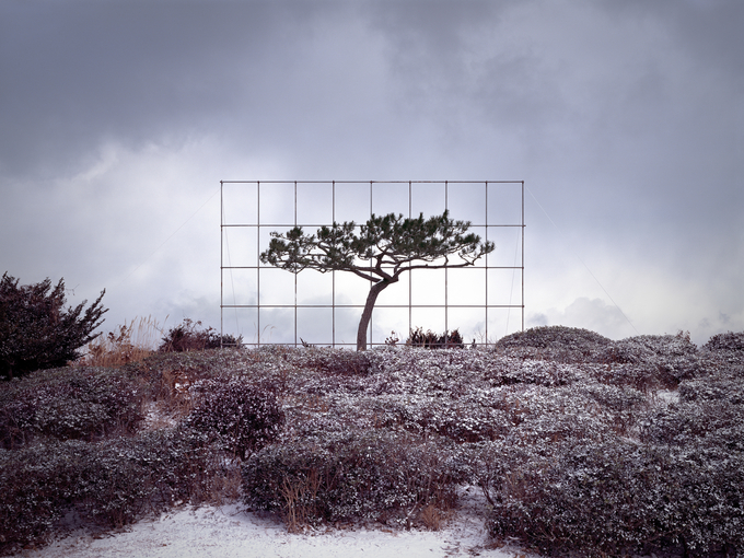이명호, Work View; Tree #18_4, 100x125mm, Ink on Paper. (사진=아트스페이스 J 제공)