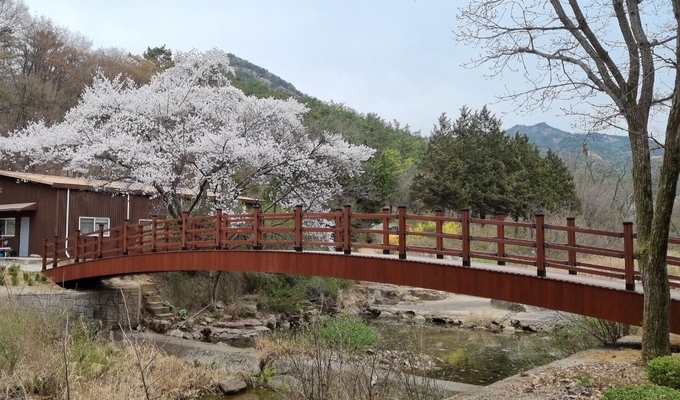 서울대 관악수목원 전경.(사진=안양시 제공)