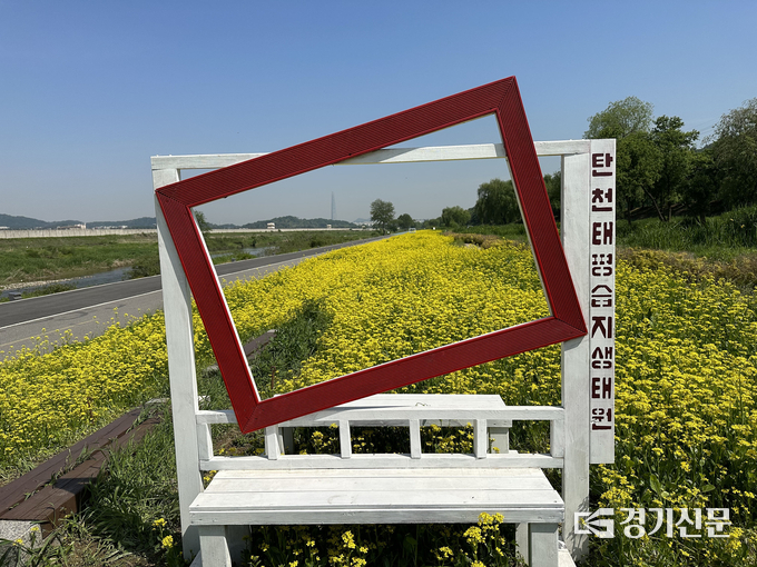 유채꽃 만발한 성남시 탄천 태평 습지생태원에 설치된 포토존. (사진=성남시 제공)