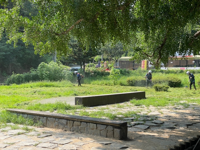 인천 남동구 운연동 이여발 묘에서 재초작업이 진행되고 있다. ( 사진 = 남동구 제공 )