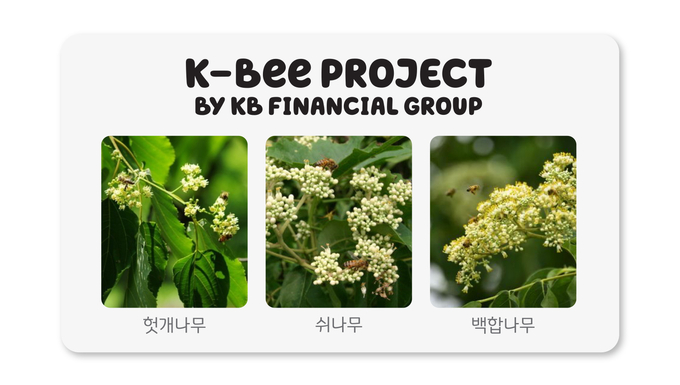 KB금융은 헛개나무, 쉬나무, 백합나무 등 다양한 묘목으로 밀원숲을 조성하고 있다. (사진=KB금융 제공)