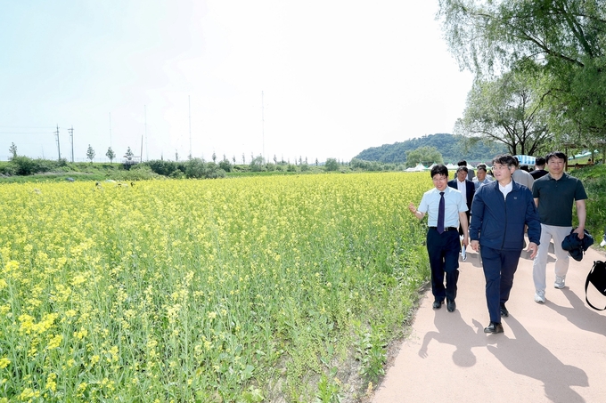 이동환 고양시장이 개막식 후 유채꽃밭을 돌아보고 있다. (사진=고양시 제공)