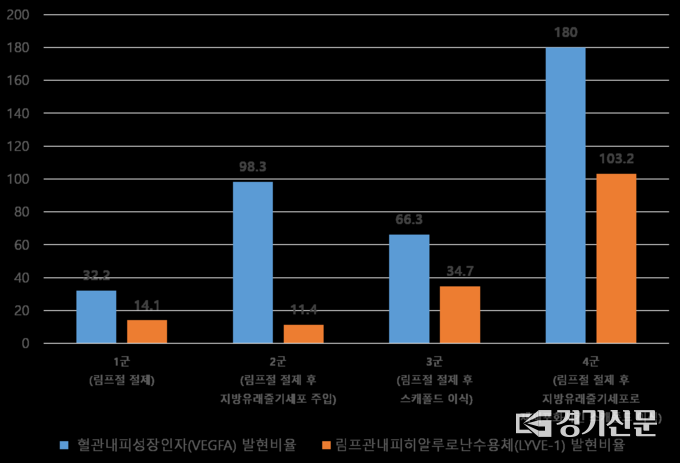 4개 그룹의 VEGFA/β-actin 비율(%) 및 LYVE-1/β-actin 비율(%) 비교. (그림=분당서울대병원 제공)
