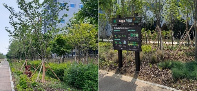 2단계 사업으로 조성된 수원델타플렉스 미세먼지 차단숲. (사진=수원시 제공)