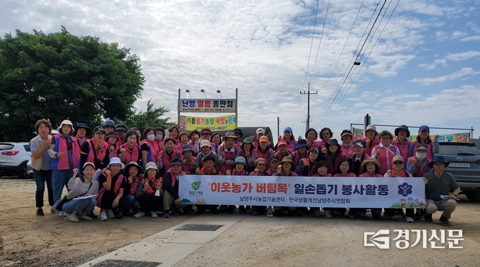 한국생활개선남양주시연합회 회원과 공무원 등 60여 명은 31일 지역의 딸리 재배 농가 3곳을 찾아 묘 줄기 뽑기 등 일손 돕기 봉사 활동을 펼치며 구슬땀을 흘렸다. (사진=남양주시 제공)