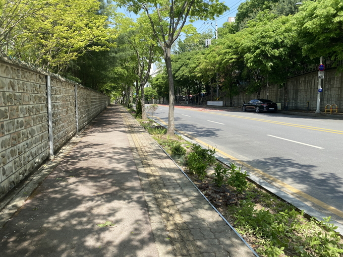 수원 수성초 인근 가로변에 조성된 '정원형 띠녹지'. (사진=수원시 제공)