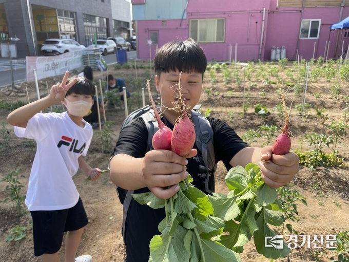 남면마을관리소에서는 꼬마농부 생태 텃밭 프로그램을 운영중이다. (사진=이호민 기자)