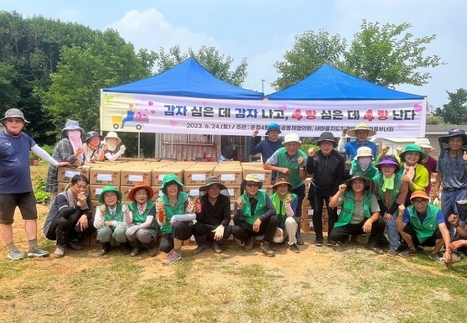 파주시 운정 4동은 관내 어려운 이웃과 온정을 나누기 위해 ‘사랑의 감자 캐기 행사’를 가졌다.(사진=퍄주시 제공)