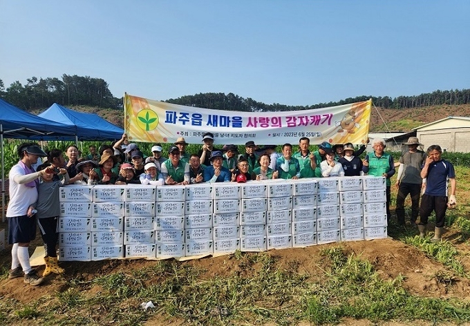 파주읍 새마을지도자협의회와 부녀회가 지난 25일 ‘사랑의 감자 캐기 행사’를 진행한 후 기념촬영을 하고 있다. (사진=파주시 제공)