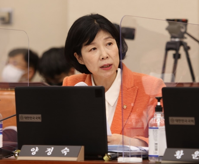 양정숙(민주·비례) 국회의원. (사진=양정숙 의원실 제공)