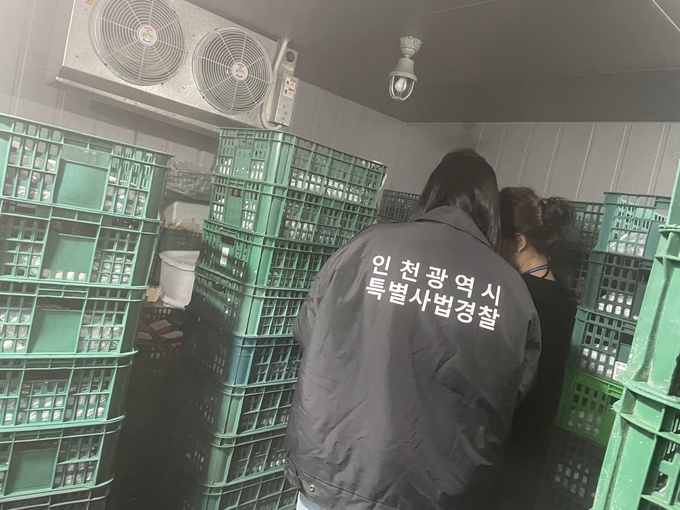 인천시 특별사법경찰이 지역내 닭 가공품 제조업소를 점검하고 있다. ( 사진 = 인천시 제공 )
