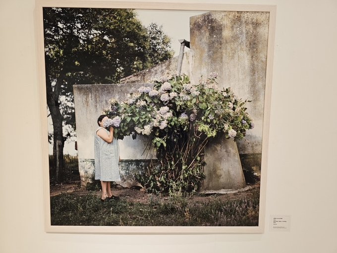 알렉산드라 샹기네티, 수국, 아르헨티나, 부에노스아이레스, 1999, C-print. (사진=고륜형 기자)