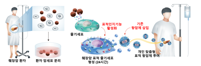 췌장암 환자로부터 도출된 암세포를 스스로 표적 할 수 있는 환자 맞춤형 항암제의 모식도. (사진=가천대학교 제공)