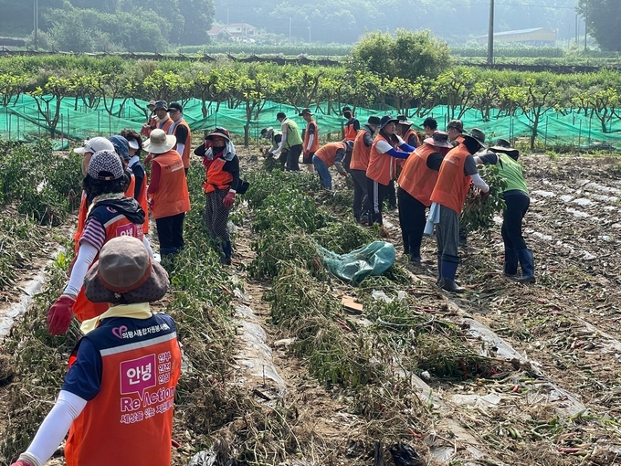 (사진=농협중앙회 경기본부 제공)