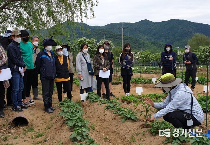 남양주시 농업기술센터는 지난 4월부터 실시한 도시 농부들의 봄작물 텃밭 재배가 마무리 됨에 따라 추가로 가을작물을 재배를 원하는 180명의 도시 농부를 대상으로 현장 교육을 실시한다. (사진=남양주시 제공)