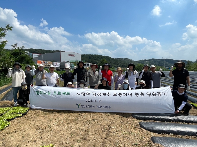 용인도시공사 개발사업본부가 지난 21일 용인시 남사읍 소재 남사농원에서 김장배추 모종이식 농가 일손 돕기 활동을 진행했다. (사진=용인도시공사 제공)