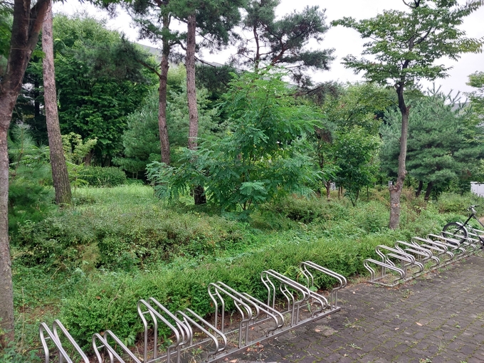 용인특례시는 기흥구 상갈역 유휴지 모습. (사진=용인시 제공)