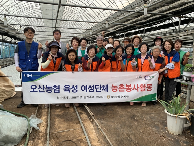 오산시농협중앙회 오산시지부와 오산농협)이 육성 여성단체가 농촌일손돕기를 실시했다.(사진=오산시농협 제공)