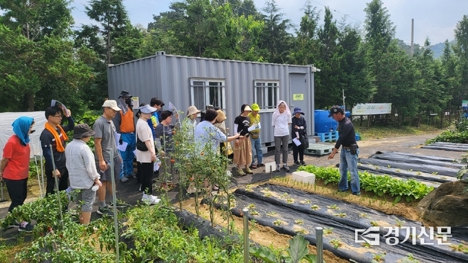 안성시농업기술센터, 가을 제철 김장채소 가꾸기 교육 모습. (사진=안성시 제공)