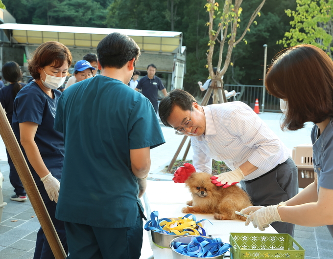 지난 2일 오후 김동연 경기도지사가 화성 강아지번식장에서 학대받는 강아지들을 경기 반려마루로 이동시켜 보호와 치료를 받도록 하고 있다. (사진=경기도 제공)