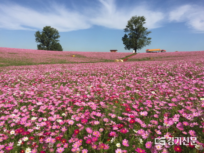 안성팜랜드 전경(사진=안성시 제공)
