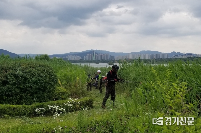 남양주시는 민족 고유의 명절인 추석을 앞두고 18일부터 열흘동안 관내 공원 및 도로변의 녹지에 대한 관리 작업을 추진해 깨끗하고 쾌적한 도시이미지를 제공하기로 했다. (사진=남양주시 제공)