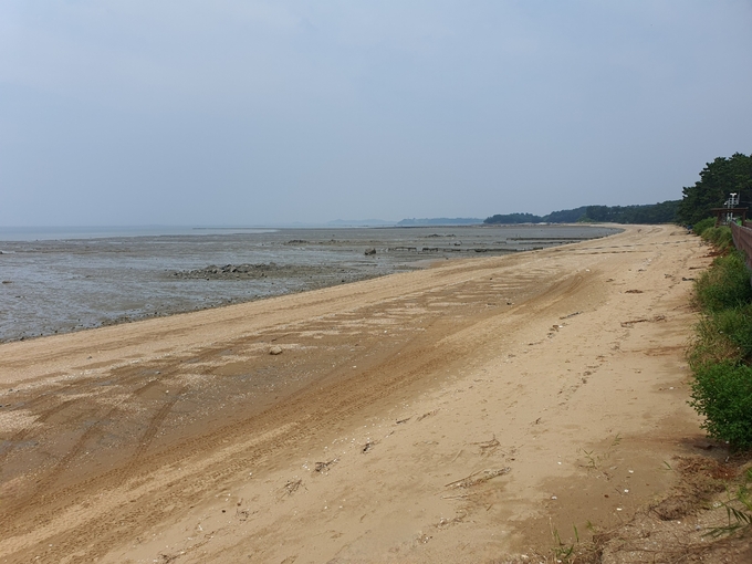 궁평리 백사장 전경. (사진=화성시 제공)