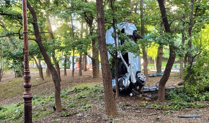  29일 성남 분당중앙공원에 SUV 차량이 돌진하는 사고가 난 현장. (사진=연합뉴스 제공)