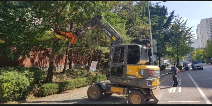 지난해 군포시 관계자가 은행나무 열매털이를 하고 있는 모습. (사진=군포시 제공)