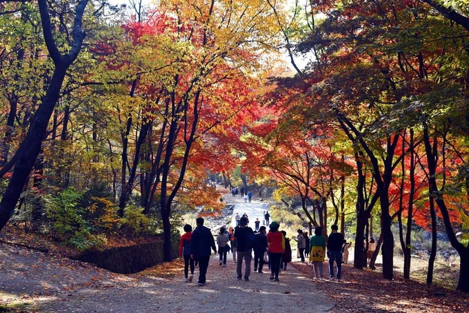 서울대 관악수목원 모습. (사진=안양시 제공)