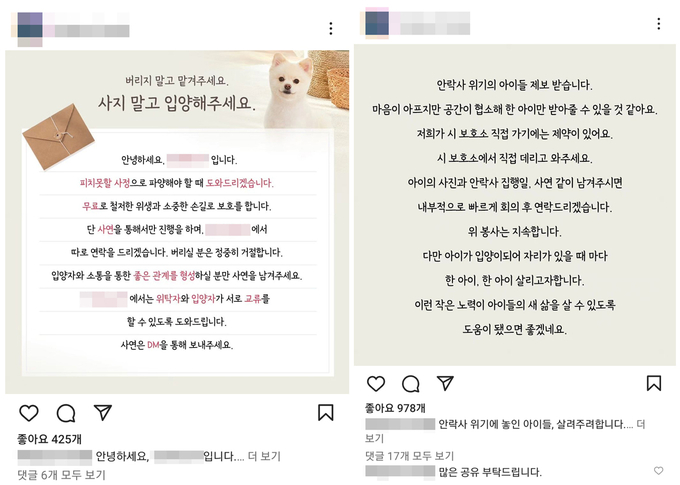 하남시의 한 사설 보호소가 인스타그램에 올린 입양‧파양을 안내하는 내용의 게시물. (사진=사설 보호소 SNS 갈무리)