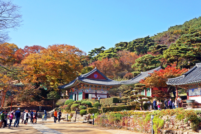 강화 전등사 모습. ( 사진 = 강화군 제공 )