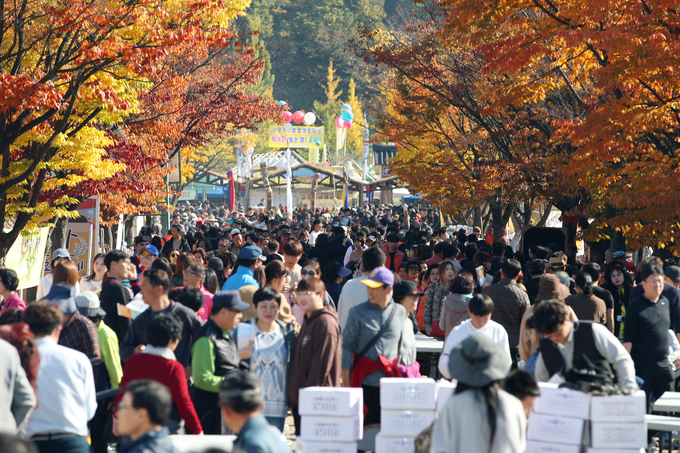 2018년 쌀축제 전경. 사진=이천시 제공)