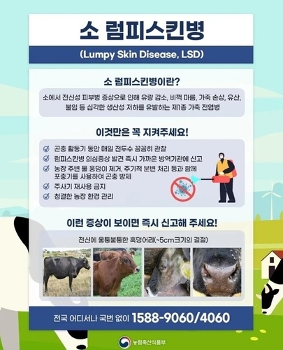 소 럼피스킨병 안내 포스터. (사진=농림축산식품부 제공)