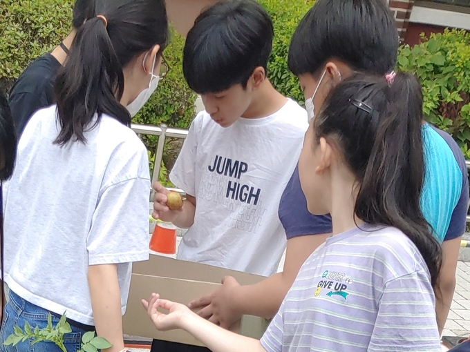  ‘生生한 학교 만들기 프로젝트’로 텃밭에서 수확한 농작물을 구경하는 학생들. (사진=영통초등학교 제공)