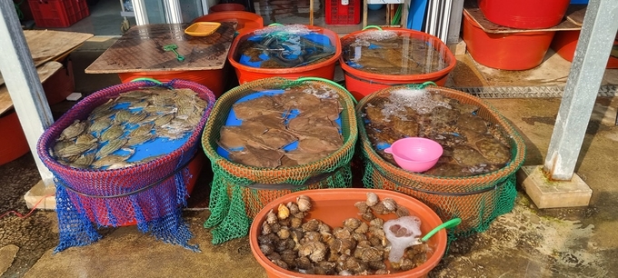 오이도항 수산물직판장 판촉 지원 행사에 참여한 점포의 경기도 수산물. (사진=경기도 제공)