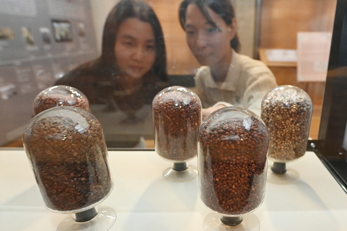 수원 구 부국원 2층에 상설 전시되고 있는 전시물(종자).