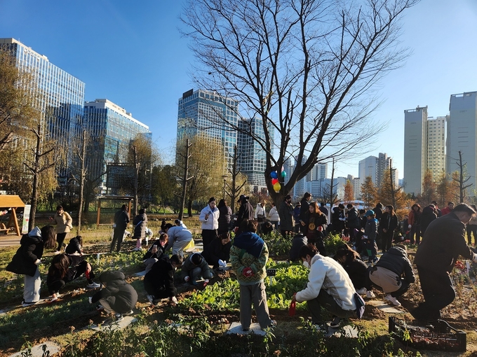 남양주 시민들이 ‘별내 곶나리 생태마을정원’ 내 커뮤니티 가든에서 튤립 구근을 식재하고 있다. (사진=남양주시 제공)