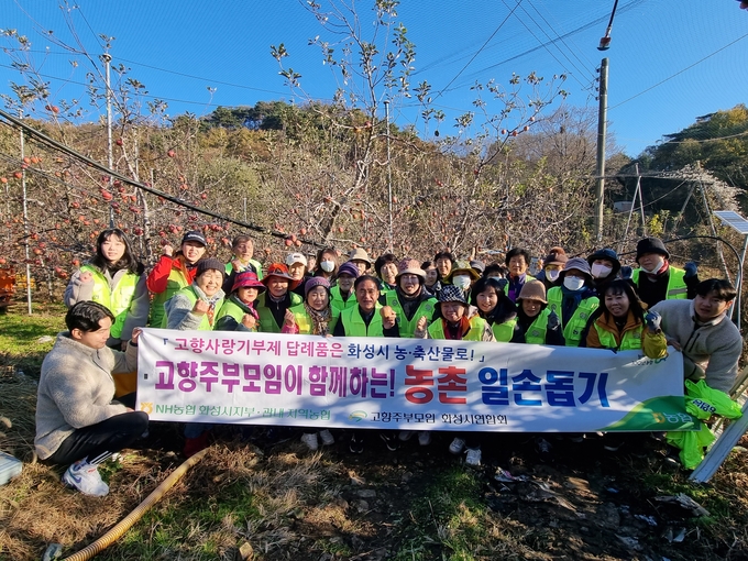 농협 화성시지부 임직원과 (사)고향주부모임 연합회원들이 지난 20일 화성시 서신면 소재 사과 과수원을 방문해 사과 따기 일손돕기 봉사활동을 가졌다. (사진=농협 화성시지부 제공)