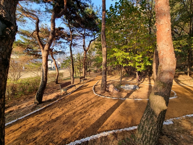 용인시 수지구 근린공원에 조성된 ‘어싱(Earthing)길. (사진=용인시 제공)<br>
